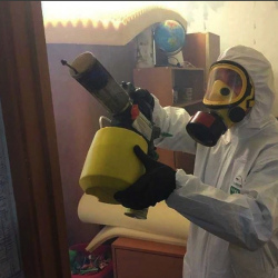 Уничтожение клопов в квартире. Черногорск